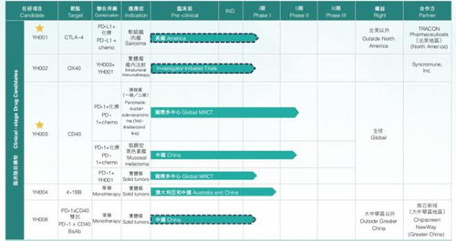 百奥赛图 负天半子 赌对了行业,低估了江湖