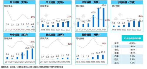 如何从代步向精品化进阶 小微电动市场发展研究报告 2023